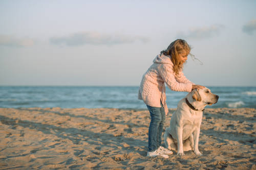 Niña acariciando a su perro labrador en la playa