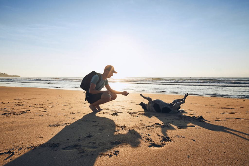 Man playing with dog on a beach.