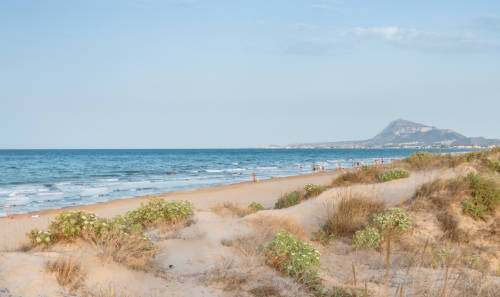 Vista de la playa de Rabdells, en Oliva, con sistemas dunares en primer plano, el mar a continuación y la montaña al fondo.