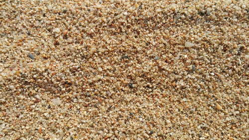 Detalle de la arena gruesa de la playa, que se asemeja a granos de arroz por su forma y tamaño.