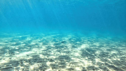 Fondo del mar en una playa mediterránea de arena, con peces nadando y rayos de luz que atraviesan la superficie.