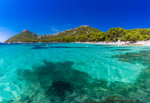 Aguas turquesas de Cala Formentor con las montañas y pinares al fondo.