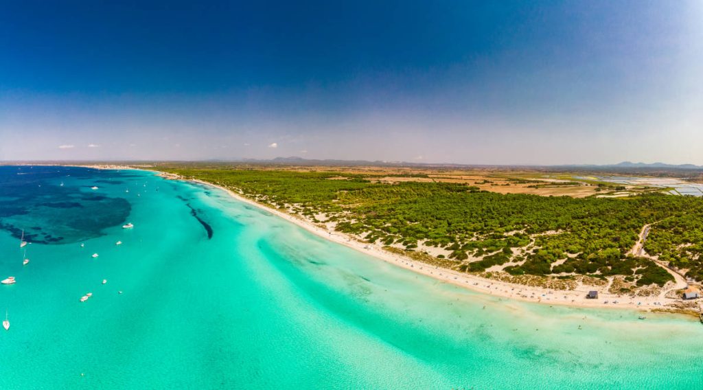 Vista aérea de la playa de Es Trenc, con el agua turquesa a la izquierda y la arena y los bosques de pinos a la derecha de la imagen.