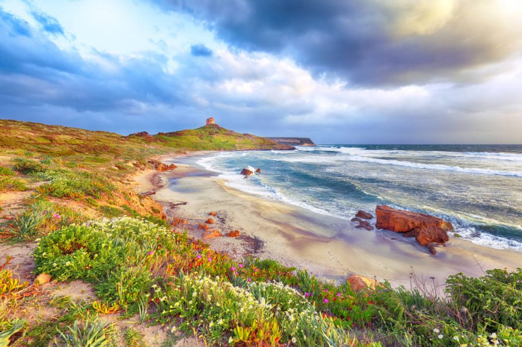 Vista del Cabo San Marco en la península de Sinis, en la isla de Cerdeña. Aparecen la arena y las plantas litorales en el primer plano y al fondo la torre de San Giovanni di Sinis. El cielo, dramático, de tormenta.