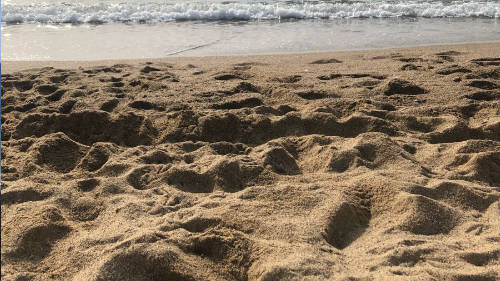 Orilla de la playa